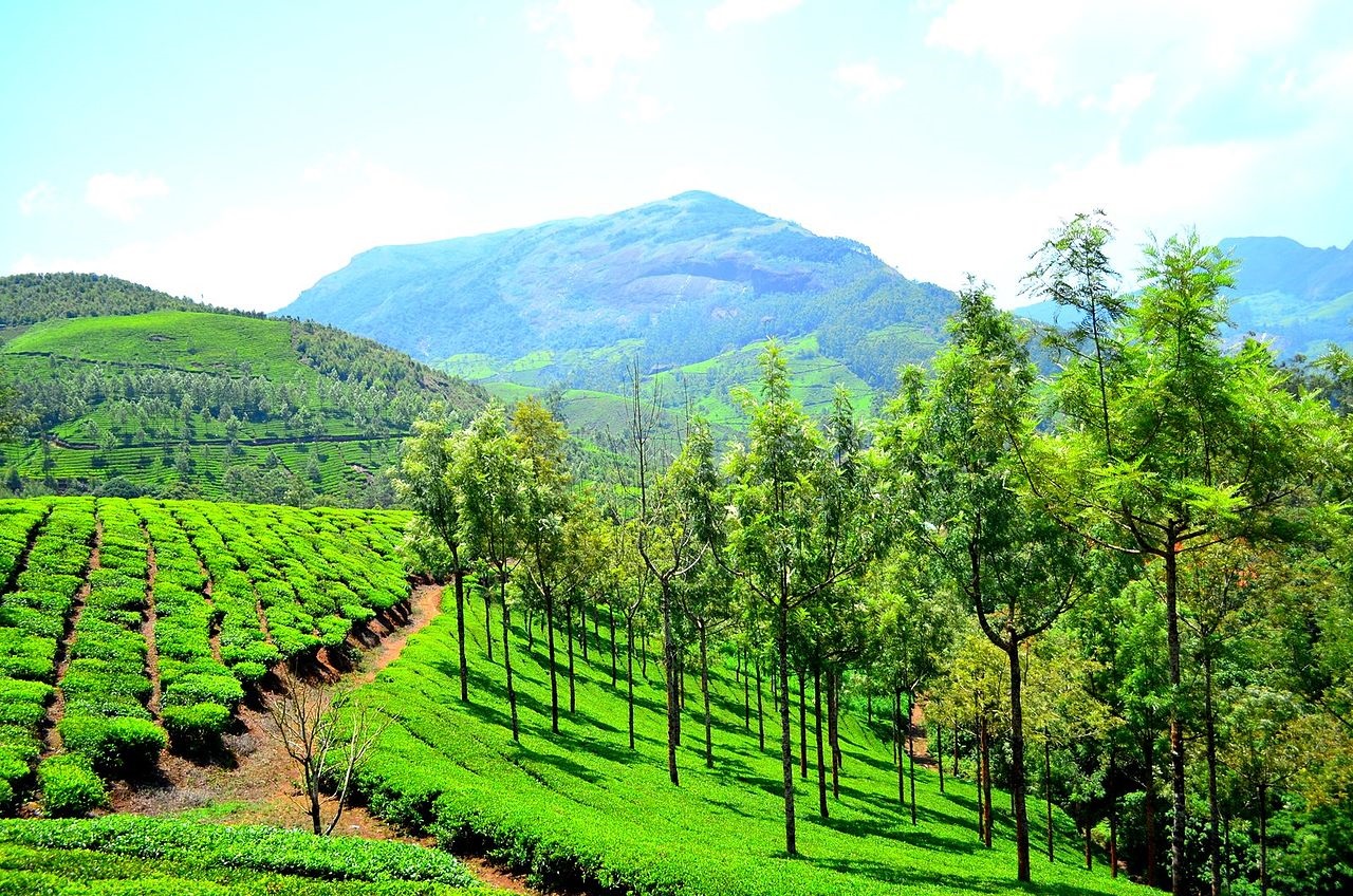 Munnar_hill_station_